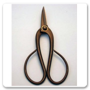 Bonsai Tool Long Shear Black