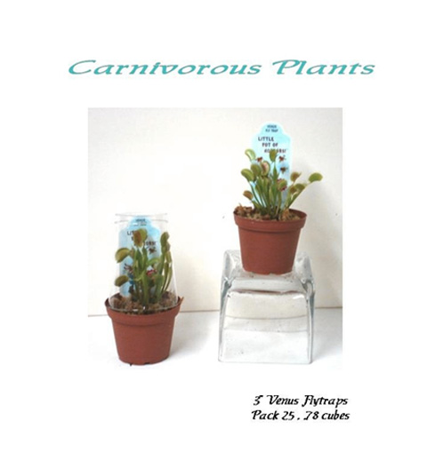 Carnivorous Plants