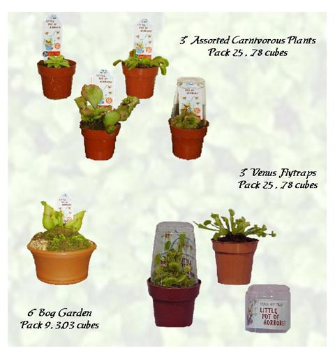 Dish Garden Carnivorous Plants