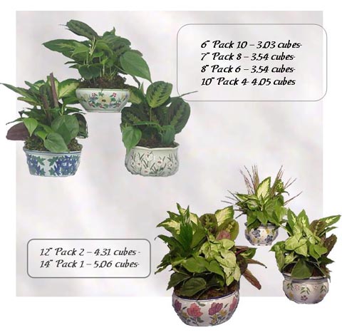 Dish Garden Ceramics