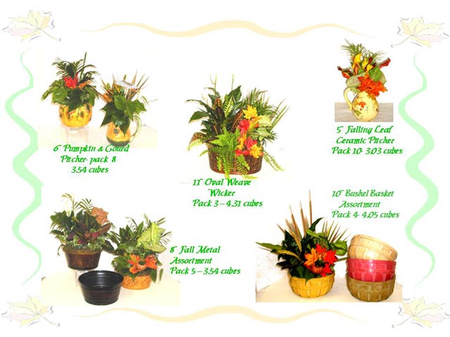 Dish Garden Seasonal