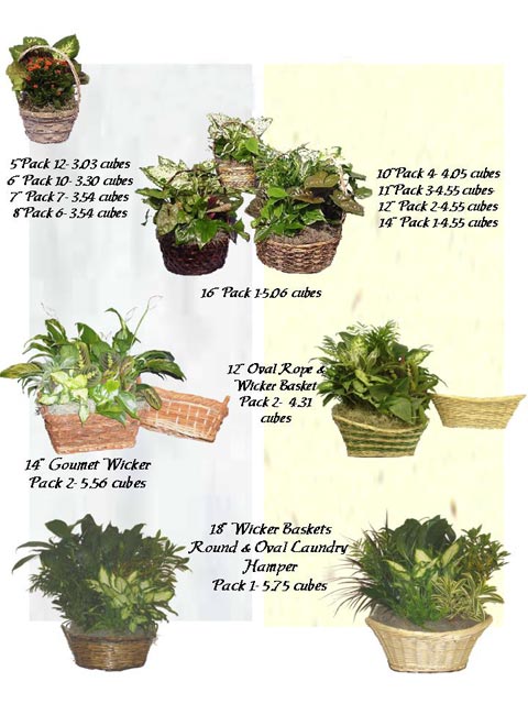 Dish Garden Wicker Baskets