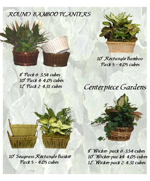 Dish Garden Wooden Containers