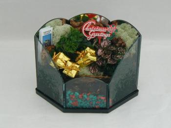 Terrarium Holiday Christmas