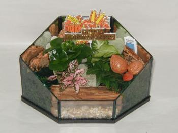 Terrarium Holiday Fall