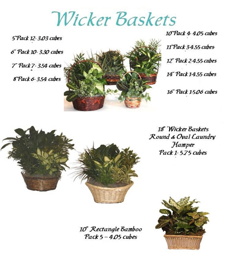 Wicker Baskets
